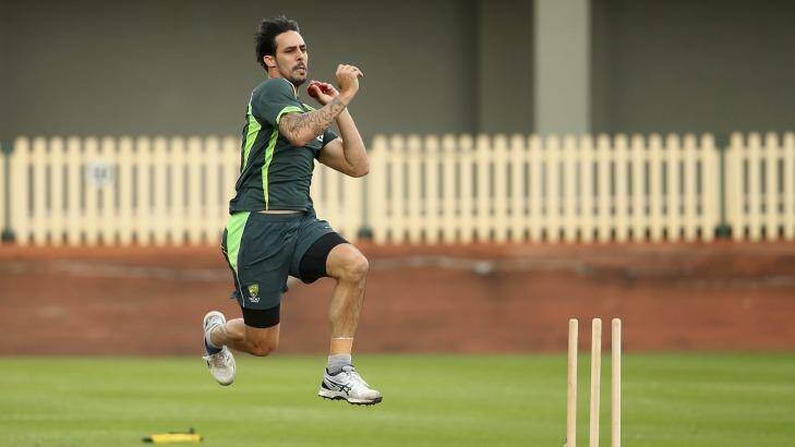 Flame reignited: Mitchell Johnson at the Australian training camp at Hurstville Oval on Wednesday. Photo: Ryan Pierse