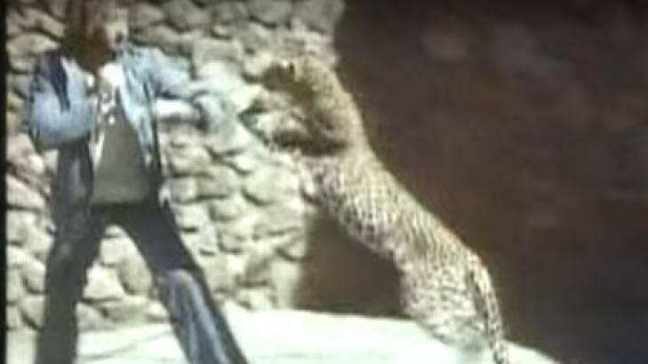 Grant Page fights a leopard for the 1970s TV series Danger Freaks.  Photo: Screen grab