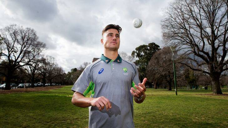 Making his Marcus: Marcus Stoinis Photo: Paul Jeffers