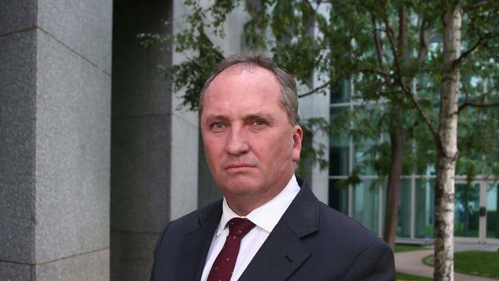 Barnaby Joyce said extra money for low income earners to buy a home made sense. Photo: Andrew Meares