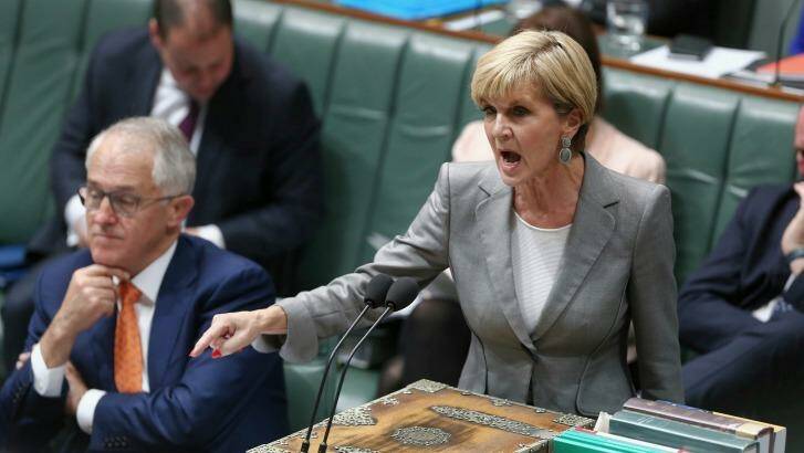 Foreign Minister Julie Bishop, pictured in question time on Monday, said Senator Hanson was entitled to her views. Photo: Alex Ellinghausen