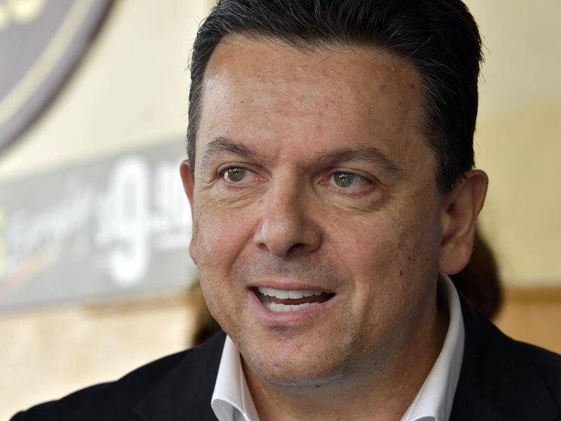 Nick Xenophon has promised stricter cyber safety laws if his party wins in the March SA election.