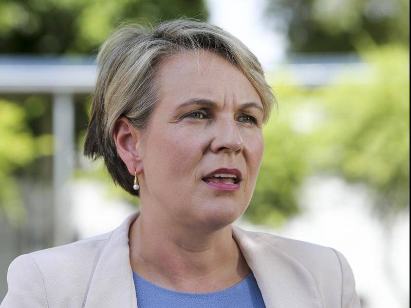Tanya Plibersek says Labor has the right to question the Adani coal mine project.