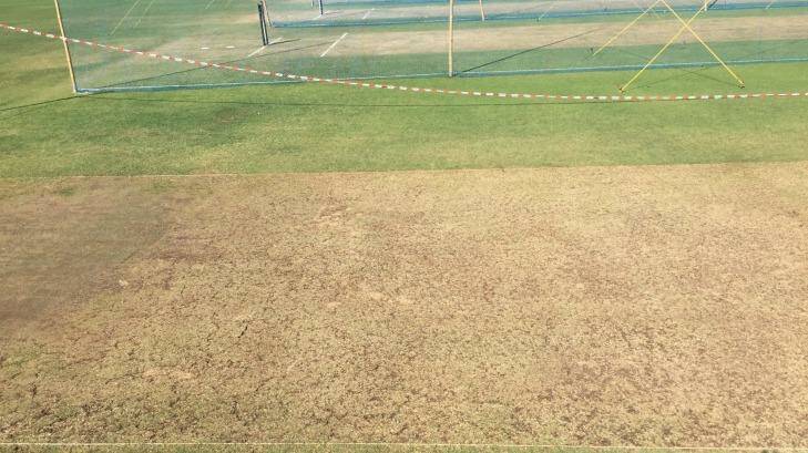 The pitch at Maharashtra Cricket Association Stadium before the first Test. Photo: Andrew Wu