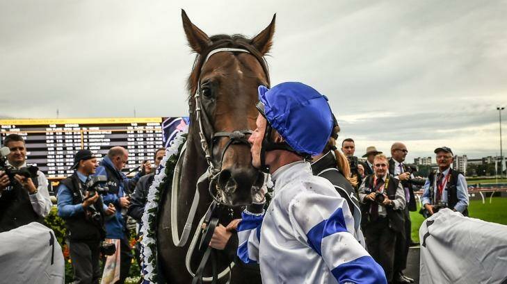 Hoping for more success: Glen Boss thinks Kermadec can add to his Doncaster Mile success. Photo: Brendan Esposito