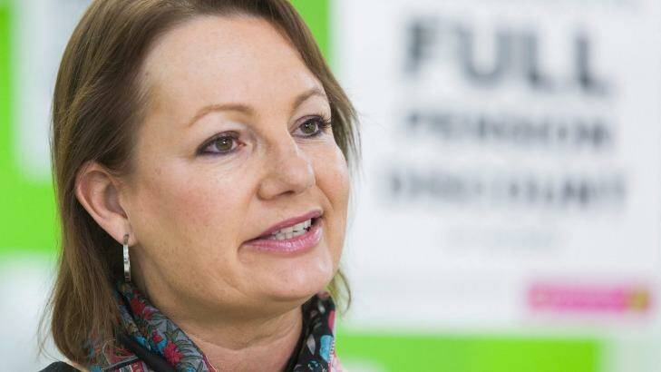 Sussan Ley's trip to the Gold Coast was ''in accordance with the rules'', says her office. Photo: Paul Jeffers
