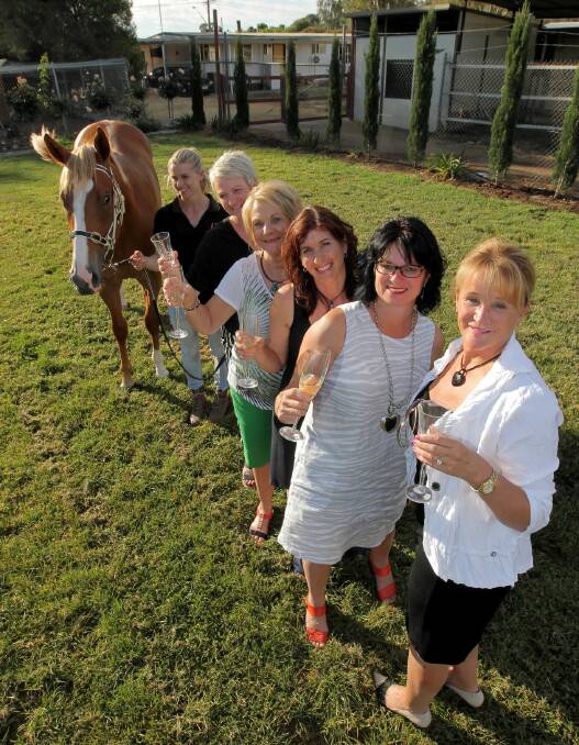 Witness A Star with handler Lily Coombe and owners Lauren Cavanough, Joy Cartwright, Sandy Edgar, Ruth Nugent and Ann McHardy at the Cavanough stables. Picture: DAVID THORPE