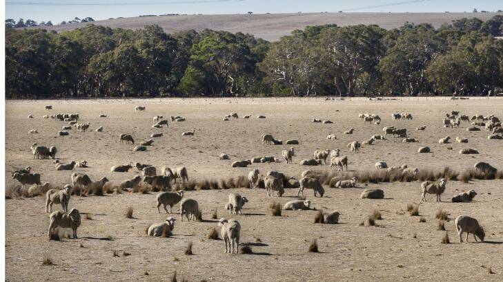Droughts are likely to get worse as the climate changes,  climate scientists say. Photo: Simon_O'Dwyer