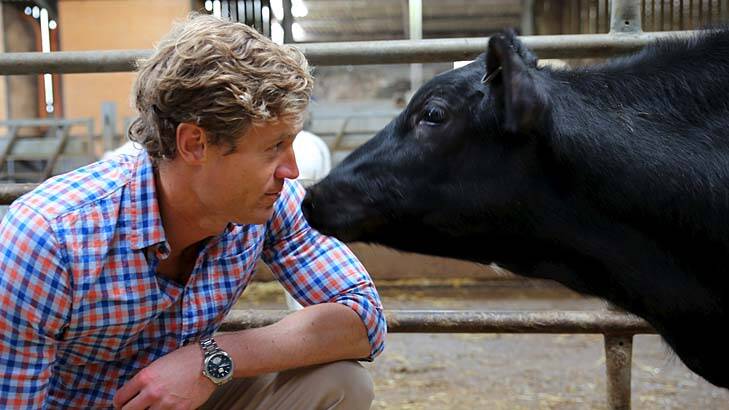 Locum in England: <i>Bondi Vet's</i> Chris Brown meets a friendly local. Photo: Supplied