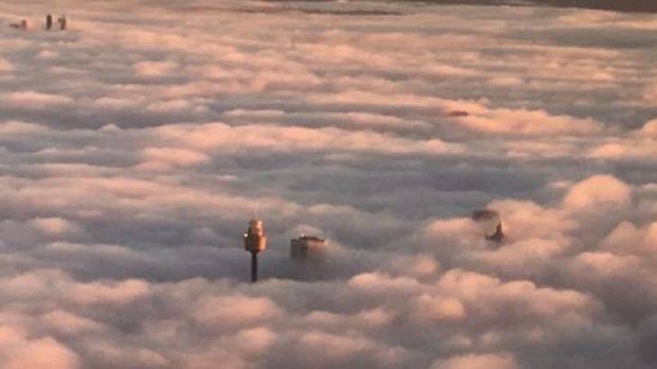 Cloud city: Sydney tower breaks the shroud of fog over Sydney. Photo: Matt Henricks