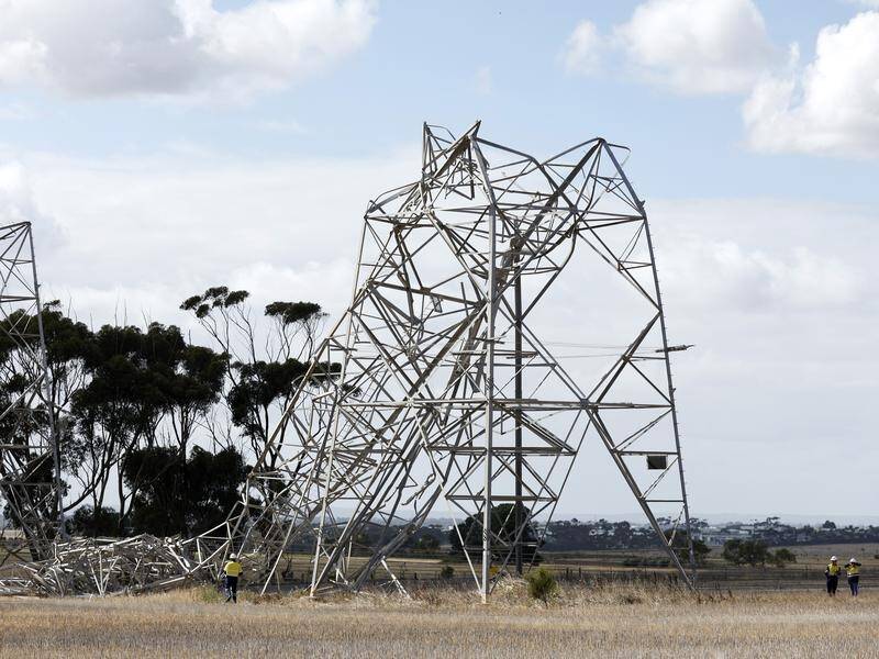 More than 12,000km of power lines were damaged in the wild weather that hit Victoria in February. (Con Chronis/AAP PHOTOS)