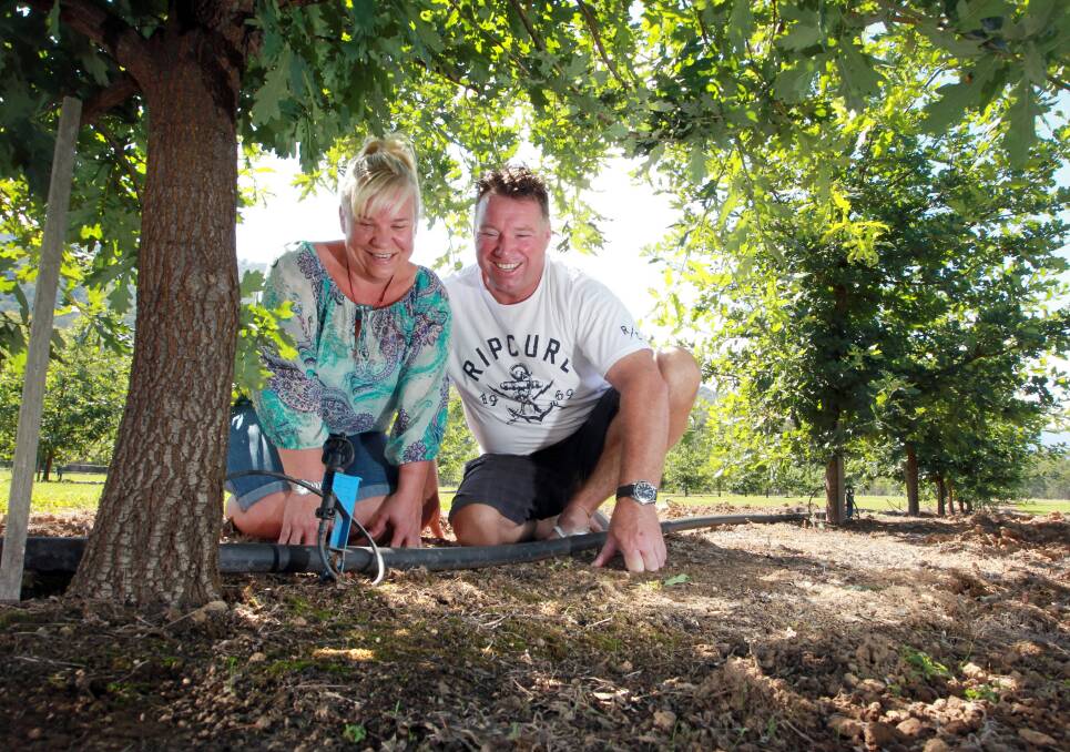 Taola and Mark Baldwin by an English oak inoculated with black truffle spawn on their Smoko property. Picture: KYLIE ESLER
