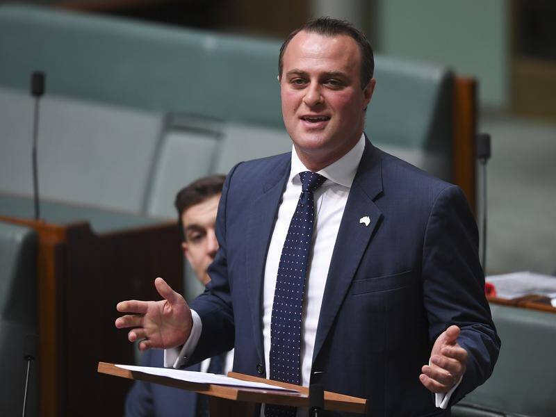 Liberal MP Tim Wilson has married Ryan Bolger, three months after proposing in federal parliament.
