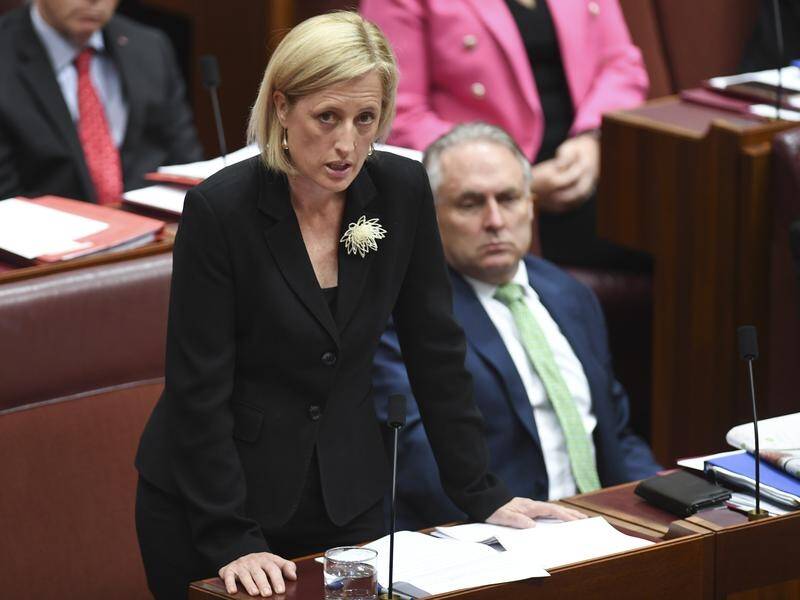 Labor senator Katy Gallagher is due to learn if she'll become a victim of the citizenship saga.