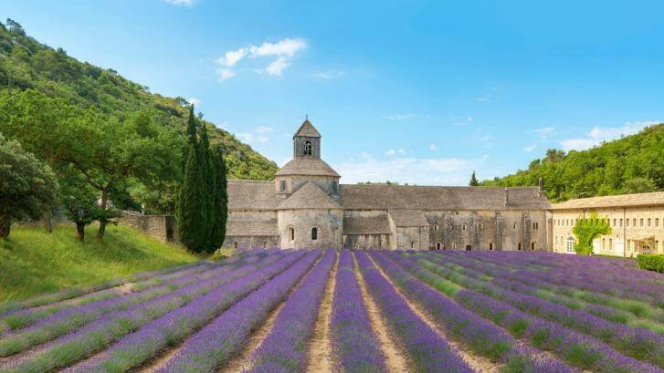 Lavender fields in full bloom in early July in front of Abbaye de Senanque Abbey, Vaucluse, Provence-Alpes-Cote d'Azur, France. Photo: Jason Langley/Getty