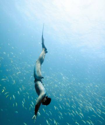 Free-divers aim for a Zen-like state to help them go ever deeper.