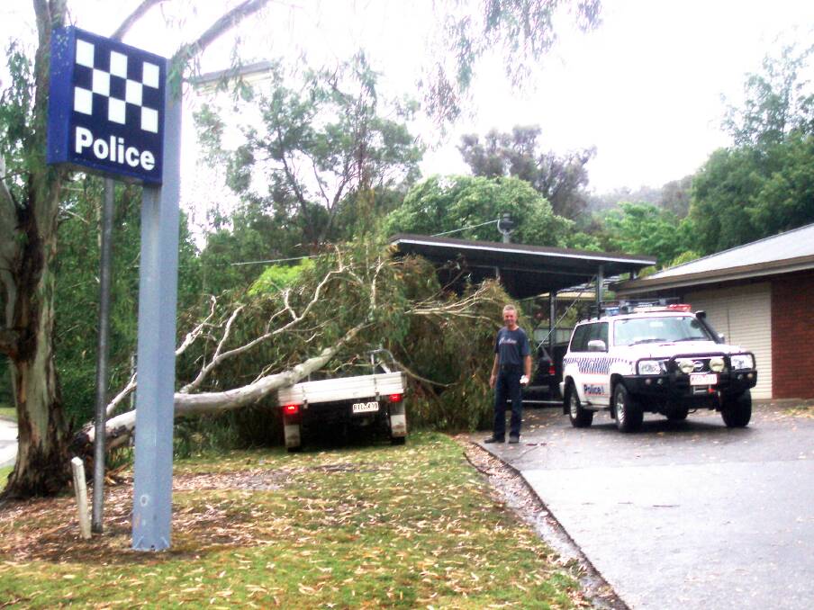 Sen-Constable Jason Frede’s utility was almost covered by the tree brought down in Monday’s storm. Picture: WAYNE HANDLEY