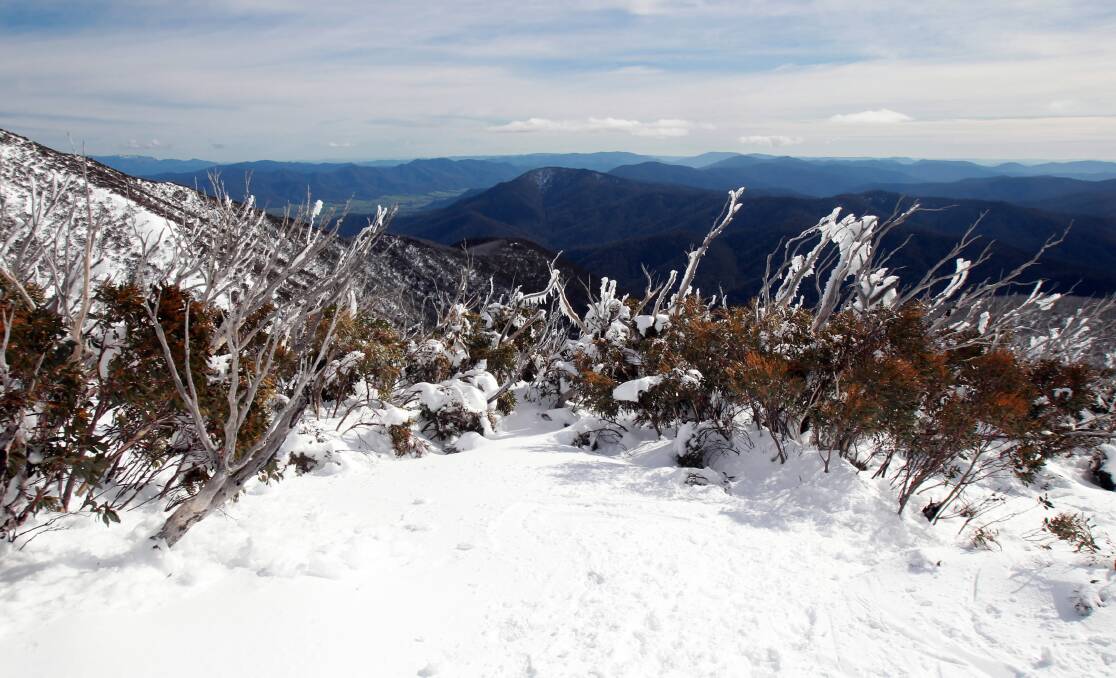 MOUNT BOGONG SNOWBOADRERS: Camera clues to lethal avalanche