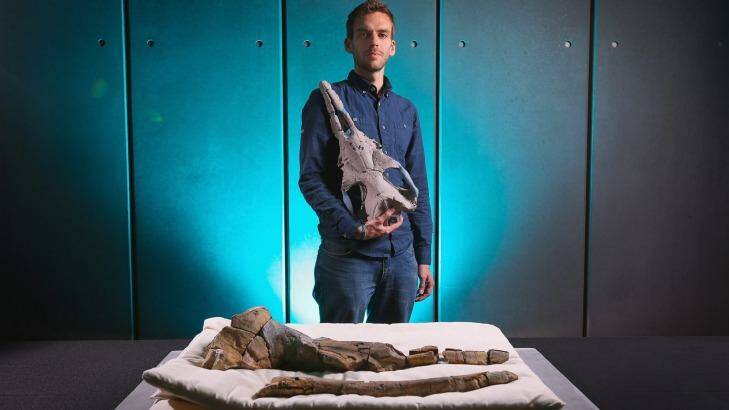 Palaeontologist Dr Felix Mark with the 25-million year old skull of Alfred the whale. Photo: Wayne Taylor