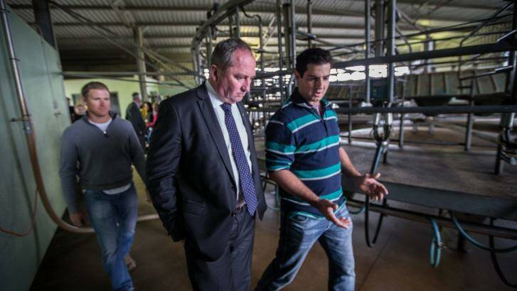 Deputy Prime Minister Barnaby Joyce visiting a Shepparton dairy on Wednesday. Photo: Jason South