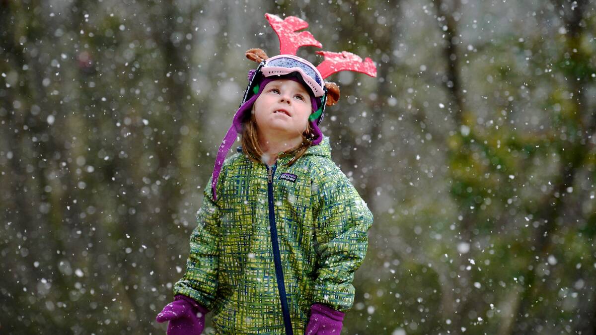 Lea Hocking, 3, ponders the idea of a white Christmas at Falls Creek yesterday. Picture: CHRIS HOCKING