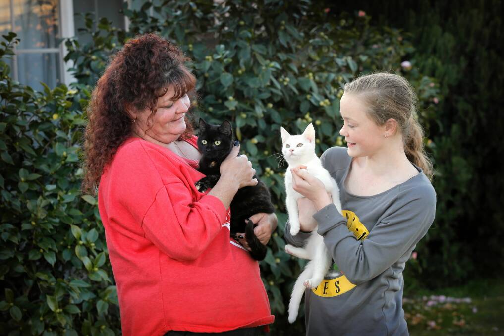 Volunteers Deidre and Dekoda Keogh with two of the cats from the rescue service, Curly a 16-week-old domestic shorthair, and Flip a 12-week-old domestic shorthair. Picture: TARA GOONAN