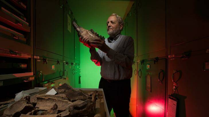 Tom Rich, curator for palaeontology at Museum Victoria. Photo: Jason South