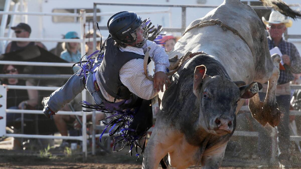 Blake Bond’s tangle with a Brahman bull was short-lived as the Yarrawonga lad competed in division two. 