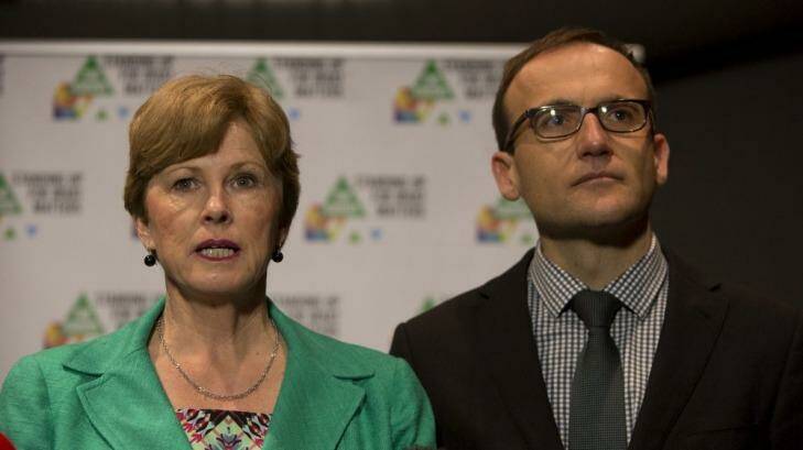 Greens leader Christine Milne has won an internal battle to oppose a levy on high income earners. Photo: Penny Bradfield
