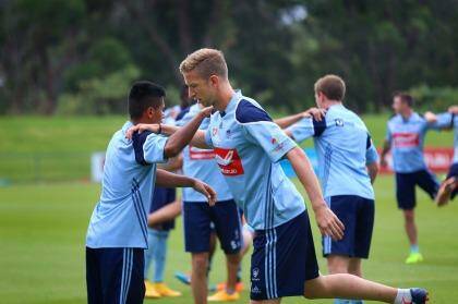 Plenty of interest from overseas: Sydney FC’s Marc Janko. Photo: James Alcock
