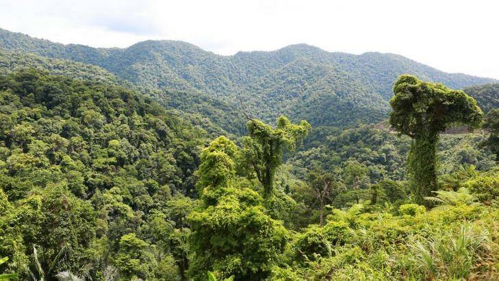 The 20,000-hectare evergreen lowland forest is considered a biodiversity hotspot.