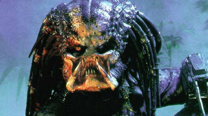 The Predator: There's no reasoning with this guy. Photo: Supplied