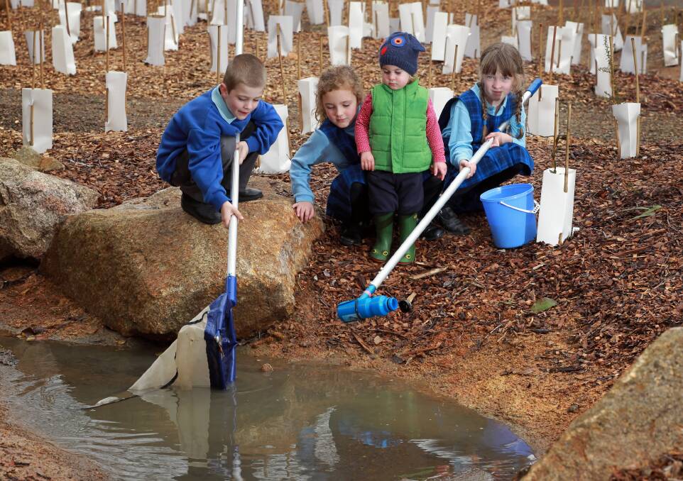 St Josephs Primary students Billie Taylor, 7, Chiara Esposito, 6, and Saskia Terlaak, 6, along with Nina Prebble, 2, get involved with the school’s Frog Bog ecology project. Picture: KYLIE ESLER