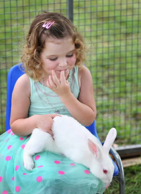 Eabha Pilkington, from Wodonga, cuddles a fluffy, white rabbit. Pictures: DYLAN ROBINSON