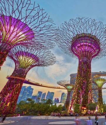 Singapore's Gardens by the Bay.