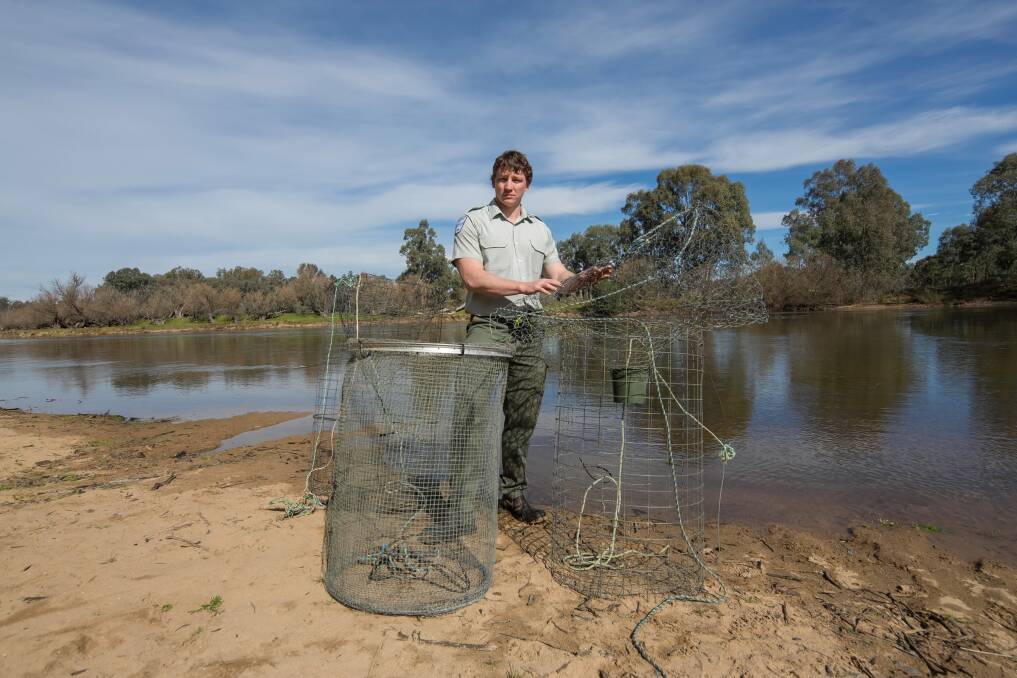 Fisheries officer Peter Heath with fish traps seized from the Murray River near Corowa last August.