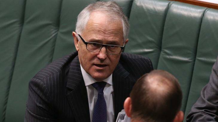 Communications Minister Malcolm Turnbull is the preferred Liberal Party leader. Photo: Andrew Meares