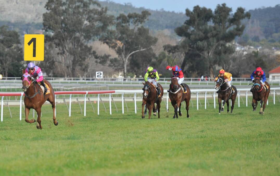 Archibar ($9), with Brendan Ward in the saddle, streets the field to win the $17,500 Riverina Cup (3800m) at Wagga yesterday. Picture: DAILY ADVERTISER