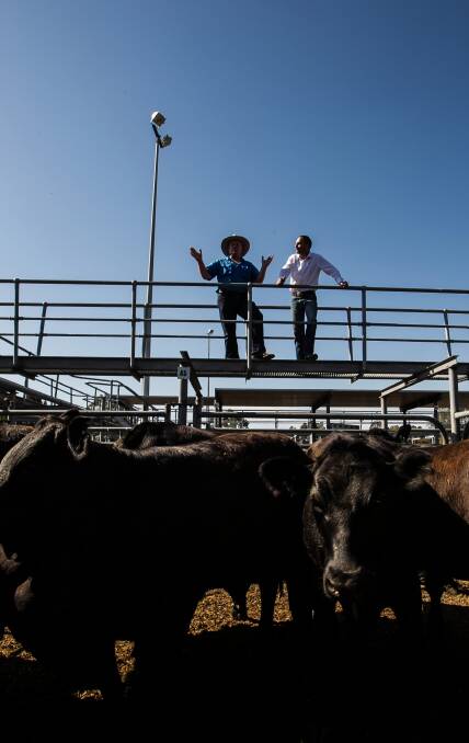 Wangaratta Saleyards has received a $500,000 Coalition election pledge. Wangaratta District Livestock Producers’ Greg Mirabella and George Dimopoulos discuss the news. Picture: DYLAN ROBINSON
