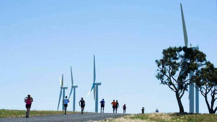  Running on empty: the renewable energy debate has stalled. Photo: Rohan Thomson