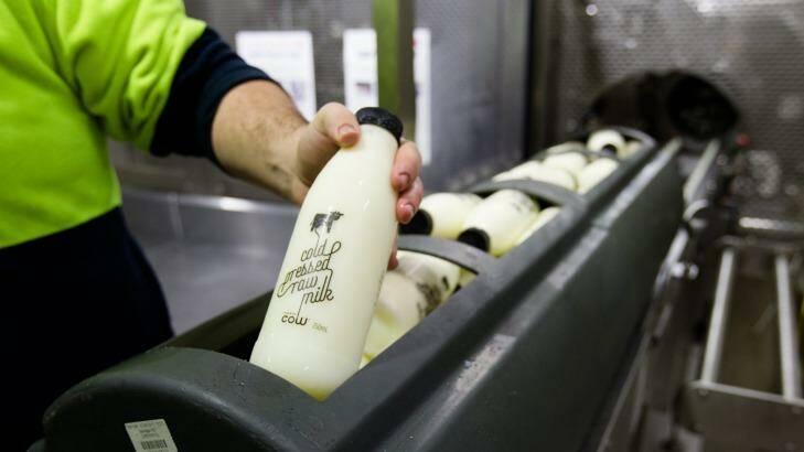Bottles of raw milk are packed into baskets before being sent through a cold-press machine. Photo: Edwina Pickles