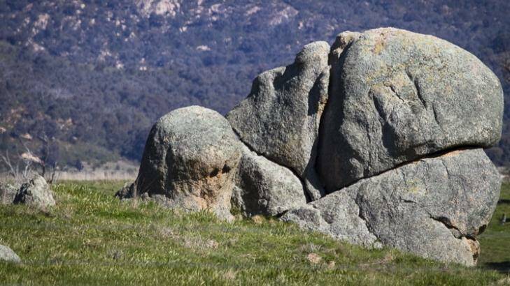 Simulacra corner: Sleeping giant at Canberra Deep Space Communications Complex. Photo: Margo Wade