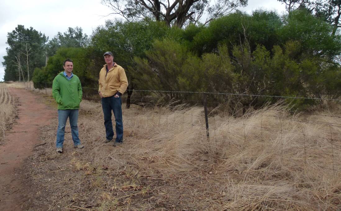 LAND CARE: Stephen Hardey and Derek Schoen with a rehabilitated paper laneway on Mr Schoen's Corowa property. Mr Schoen carried out six kilometres of fencing on his farm to form vegetation corridors.