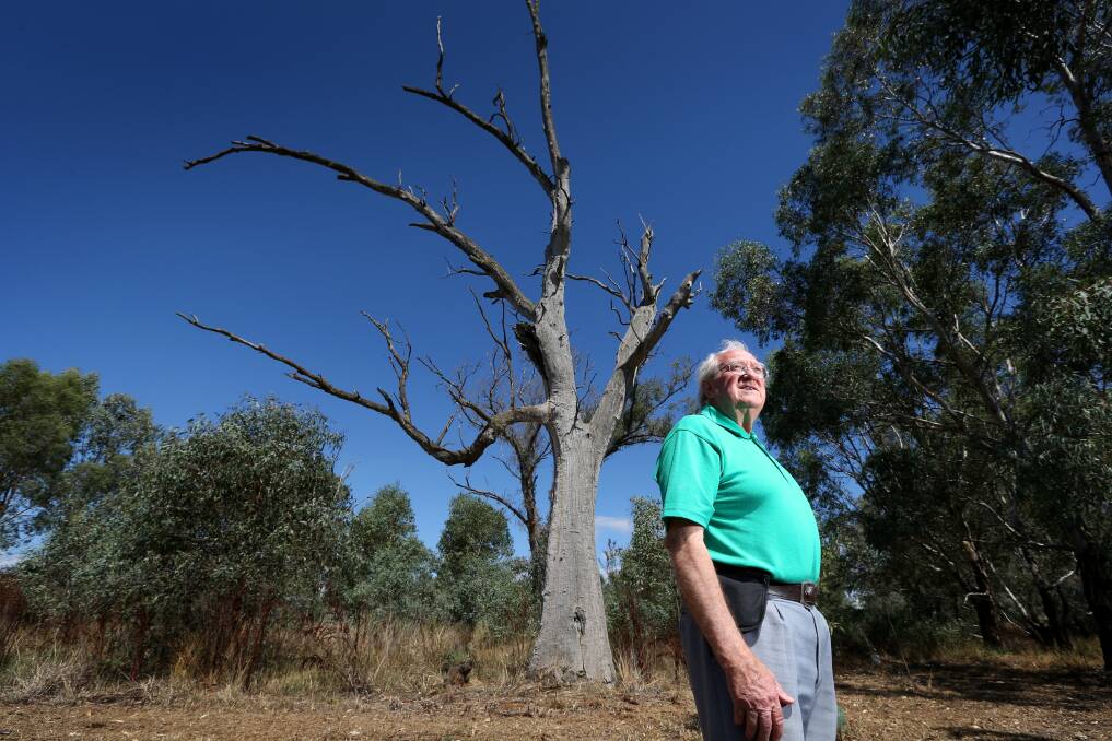 LEGACY: Professor David Mitchell in 2014 at the David Mitchell Wetlands, which he designed. His forethought meant 20 years on the wetlands continue to help Charles Sturt University's sustainability. 
