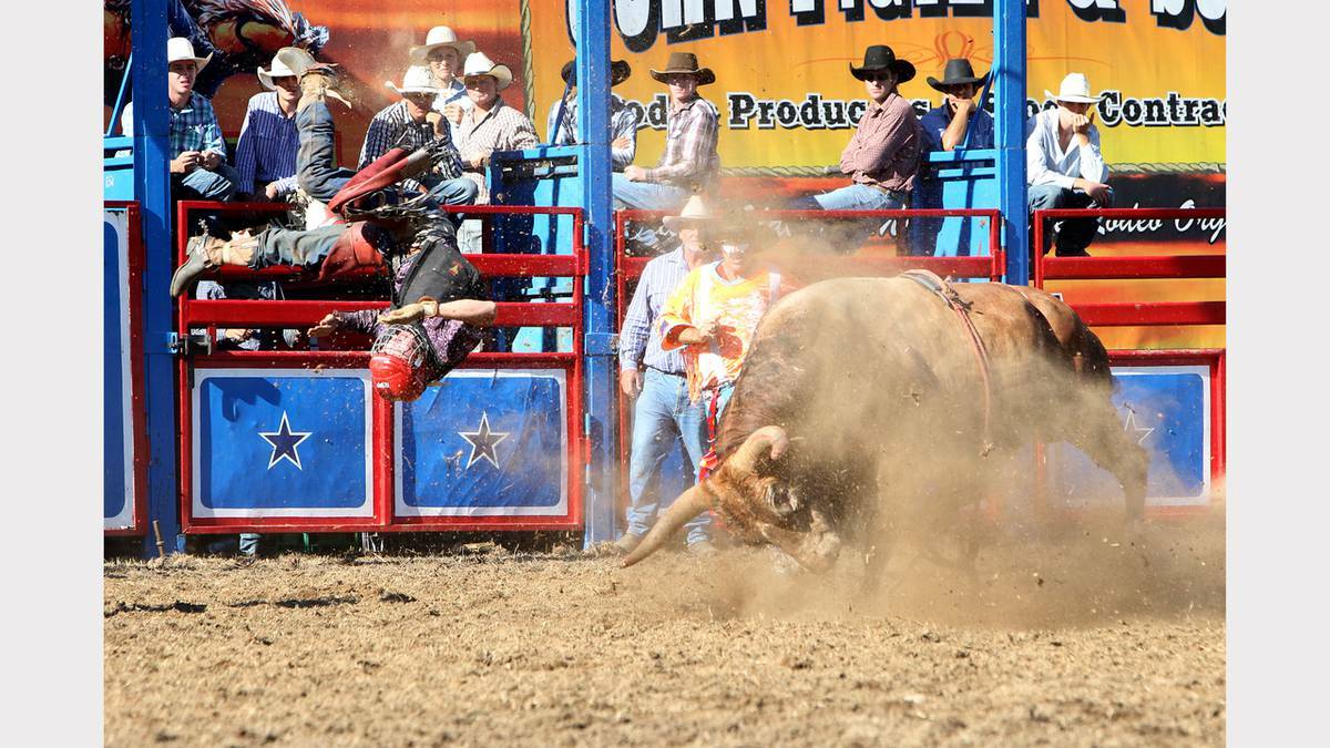 Shane Austin of Nagambie, Victoria takes on a bull.