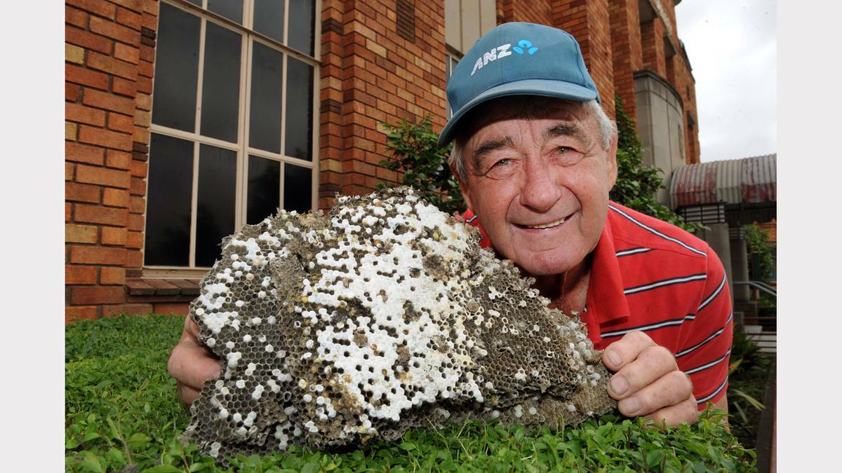 Warrack Pest Control’s David Schache uncovered a rare find in the Wimmera last week when he was called to treat a European wasp nest. Photo: PAUL CARRACHER