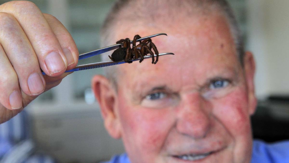 South Coast arachnologist Graham Wishart warns residents it is breeding season for the notorious funnel-web spider.