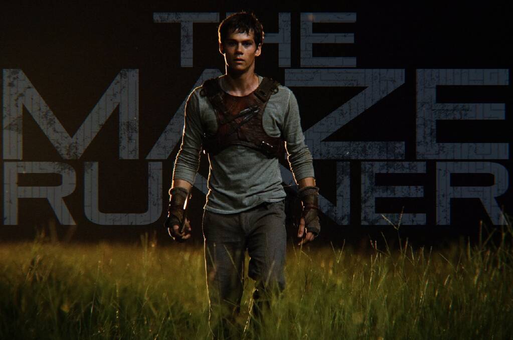 ACTION APLENTY: The Maze Runner is one of a host of new movies premiering at Regent Cinemas Albury-Wodonga from  Thursday, September 18. The Boxtrolls, Planes: Fire & Rescue, The House of Magic and Sin City: A Dame to Kill For are also debuting.