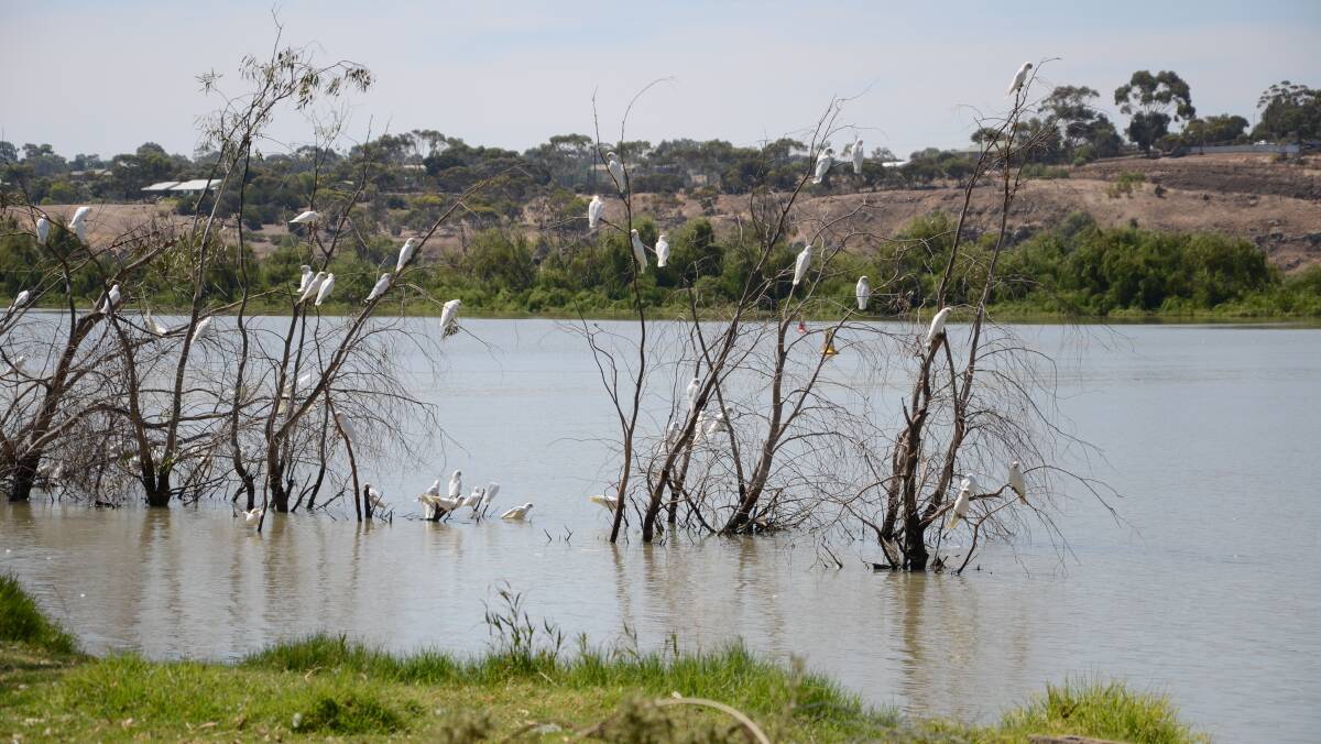 Murray-Darling Basin Plan fight over