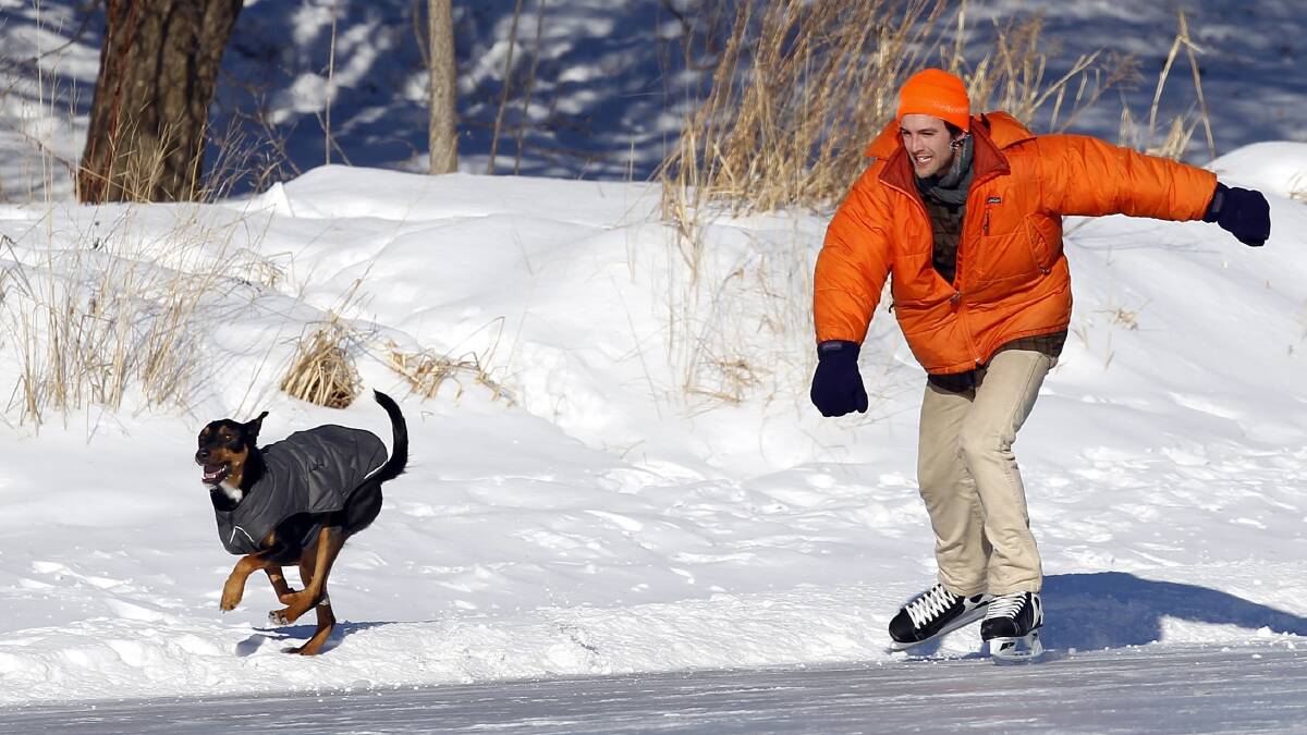 Cyril River races his dog, Aldo, as he skates around Lake of the Isles in Minneapolis, January 8, 2014. Photo: REUTERS/Eric Miller.
